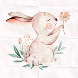 artist image