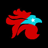 artist image