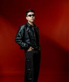 artist image