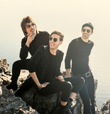 Image of Sunflower Caravan