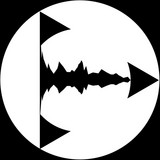 artist image
