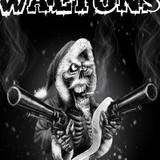 THE WALTONS