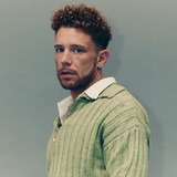 artist image