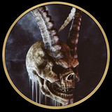 Bastard Skull