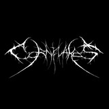 Image of The Cornflakes