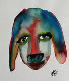 Saltydog
