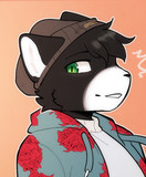 artist image