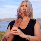 artist image
