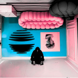 artist image