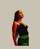 artist image