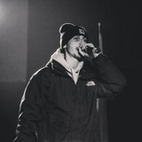 Stemma profile