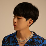 artist image