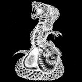 Nokris profile