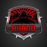 Hibrid profile