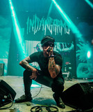 In Dying Arms photo 3