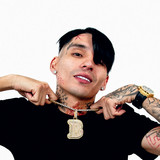 artist image