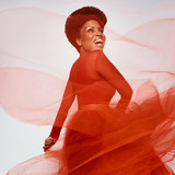 artist image