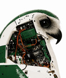 electronic kili