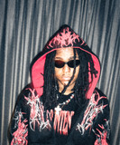 artist image