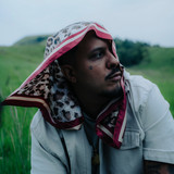 artist image