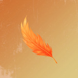 artist image