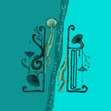 artist image