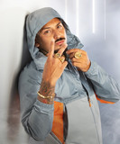 artist image