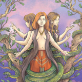 Samtar profile