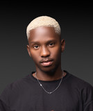 artist image