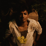 artist image