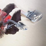 artist image