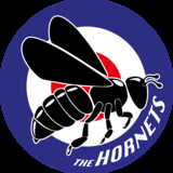 The Hornets