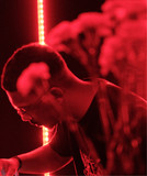 artist image