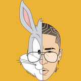 artist image