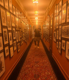 artist image