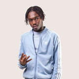artist image