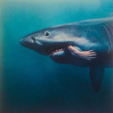 Image of The Stylists