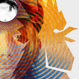 artist image