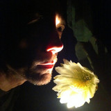 artist image