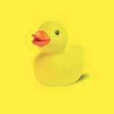 Little Duck