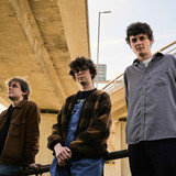 Shaking Hand