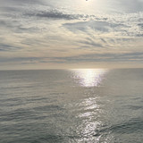 artist image