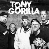 Tony Gorilla