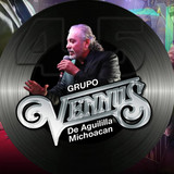 Grupo Vennus