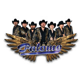 Palomo