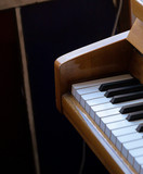 artist image