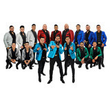 Banda Rancho Viejo De Julio Aramburo La Bandononona profile