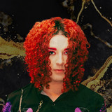 artist image