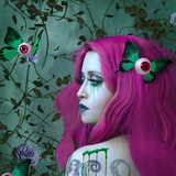 artist image