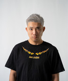 artist image